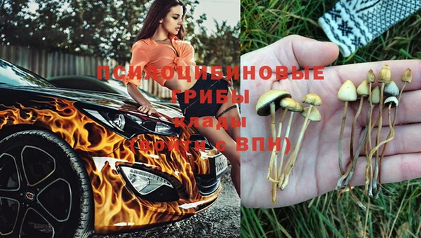 дурь Аркадак