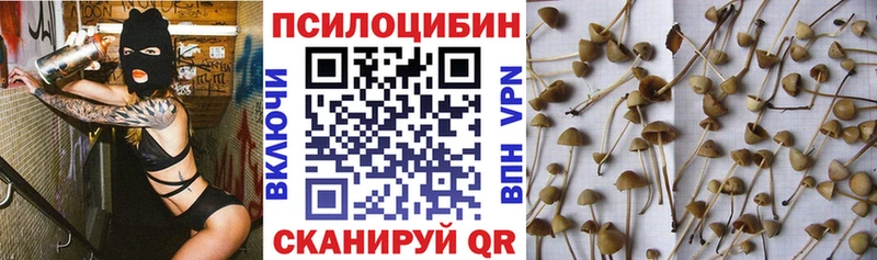 Галлюциногенные грибы ЛСД  мориарти клад  Полысаево  где купить  